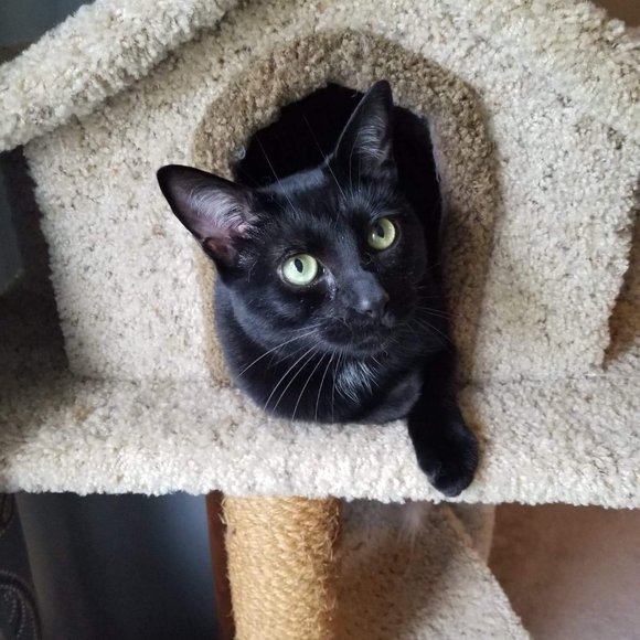 Meet your Posher, Polly - Picture 8 of 8